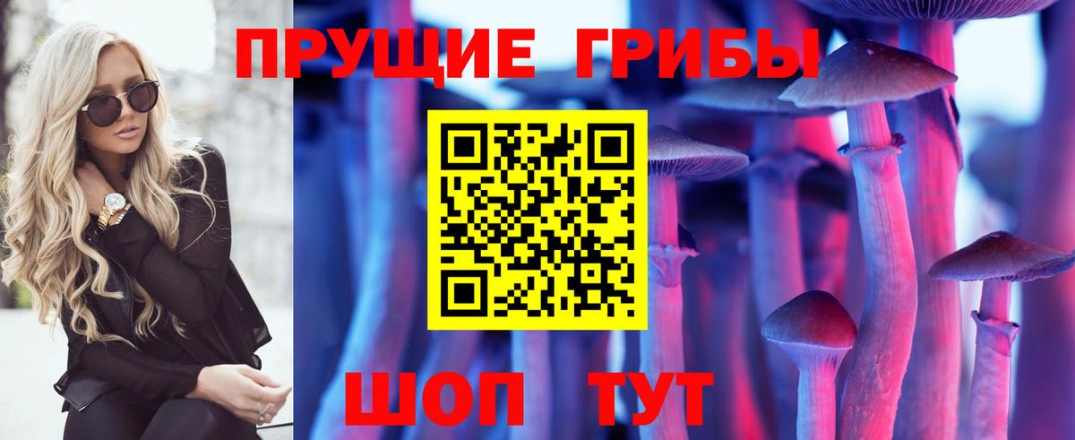 Грозный  Псилоцибиновые грибы Psilocybe  Вход с VPN 